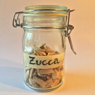 Zucca Gourd Seeds (Pkg of 4)
