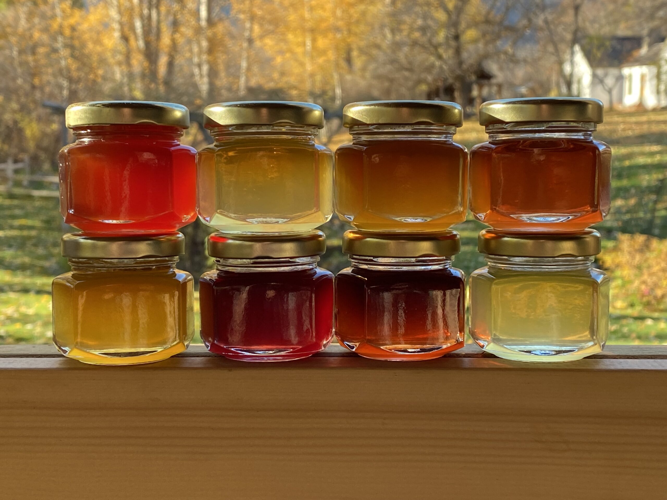 Ultimate Jelly Sample Pack - 16 x 45ml - Image 2