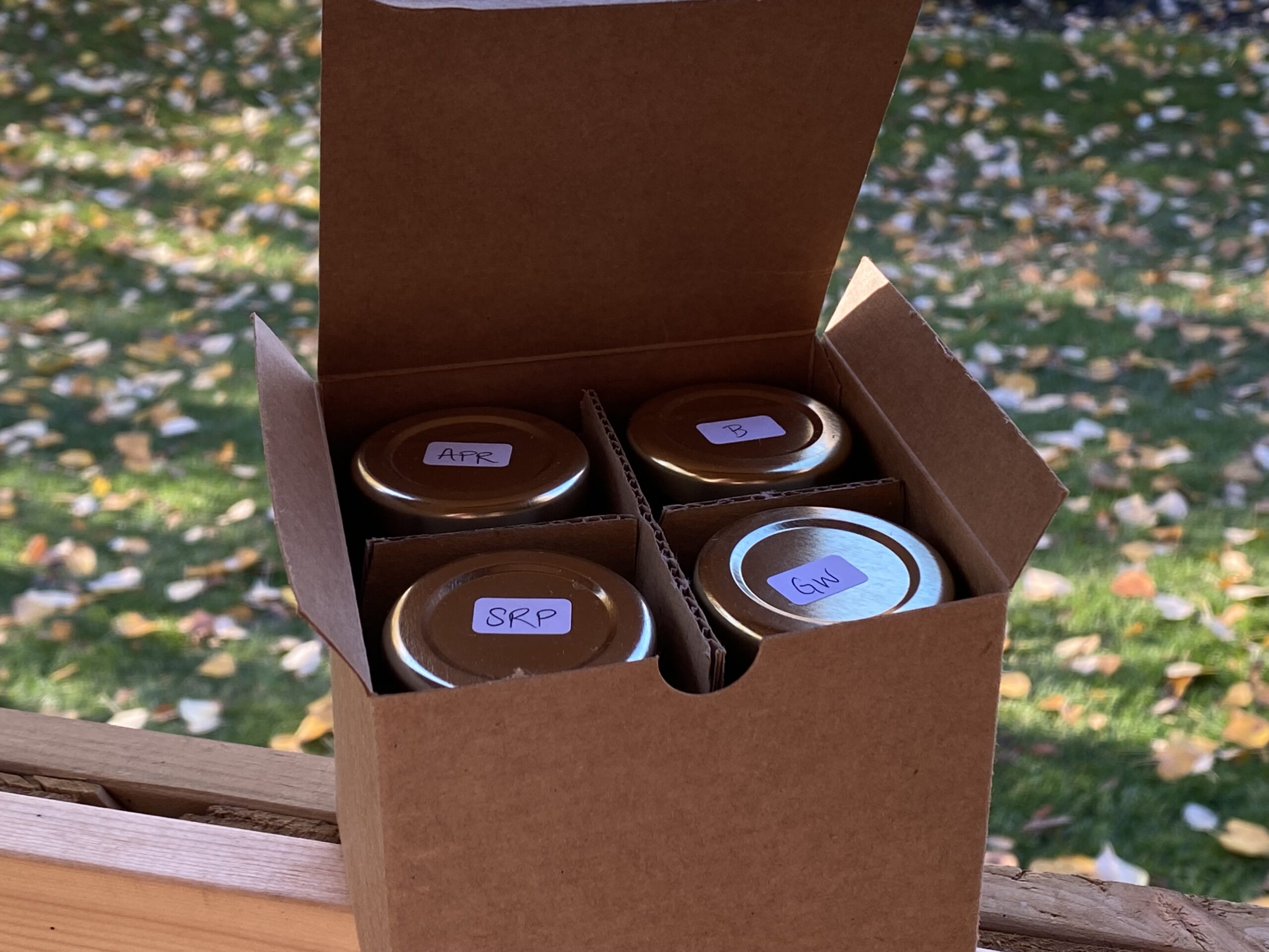 Jelly Sample Pack - 8 x 45ml - Image 3